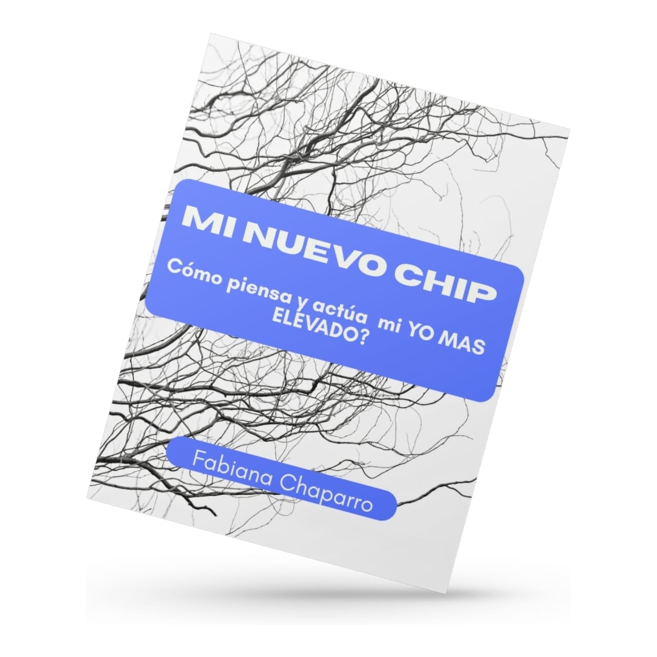 MI NUEVO CHIP